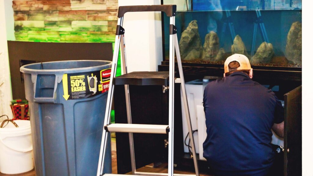 Aquarium & Fish Tank Cleaning Service