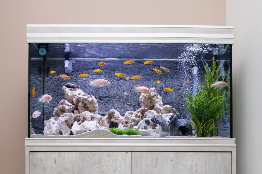 5 Tips on How to Lower the pH In an Aquarium